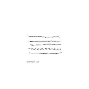 stempel polimerowy - przeszycia proste