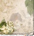 papier scrapbook Craft o'clock - wild garden 05