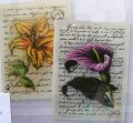 stempel silikonowy - anturium + list [6410/0045]