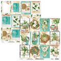 papier scrapbook Mintay Papers - urban jungle 06