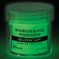 Puder do embossingu Ranger - glow up (świecący)