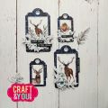 wykrojnik Craft&amp;You - zestaw tagów (tag set) [CW269]