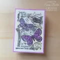 stempel polimerowy Woodware -  clear stamp singles b si for butterfly