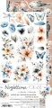 CC-C71-NC-13_23.webp