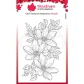 stempel polimerowy Woodware -  garden spray [JGS757]
