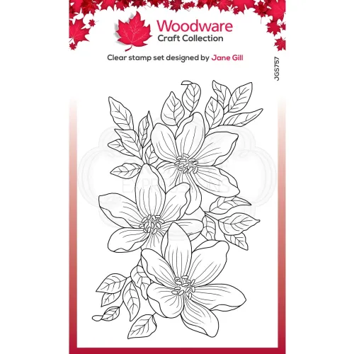 stempel polimerowy Woodware -  garden spray [JGS757]