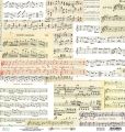 papier scrapbook Mintay Papers - music garden 04