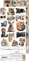 zestaw dodatków - creative extras - cats