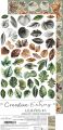 zestaw dodatków - creative extras - leaves 1