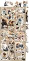 zestaw dodatków - creative extras - mix - lovely pets