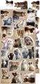 zestaw dodatków - creative extras - mix - lovely pets