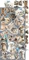 zestaw dodatków - creative extras - mix - lovely pets