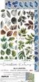 zestaw dodatków - creative extras - mix - all leaves