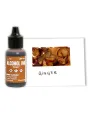 tusz alkoholowy Ranger alcohol ink - ginger (brązowy)
