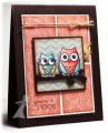 stemple gumowe + wykrojniki Taylored expressions - hoot hoot hooray
