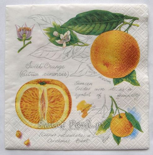 serwetka - pomarańcza